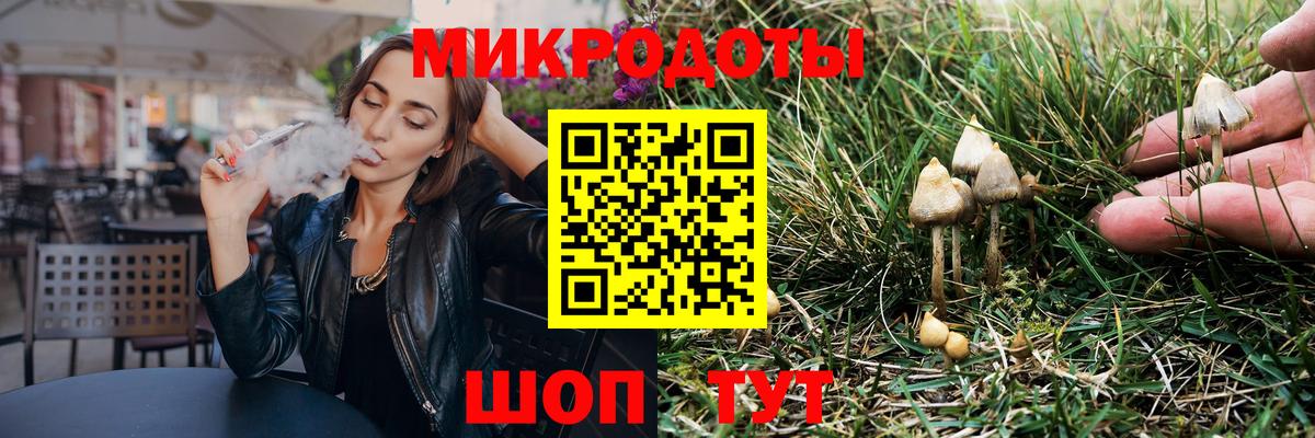 Галлюциногенные грибы Psilocybine cubensis Дальнегорск